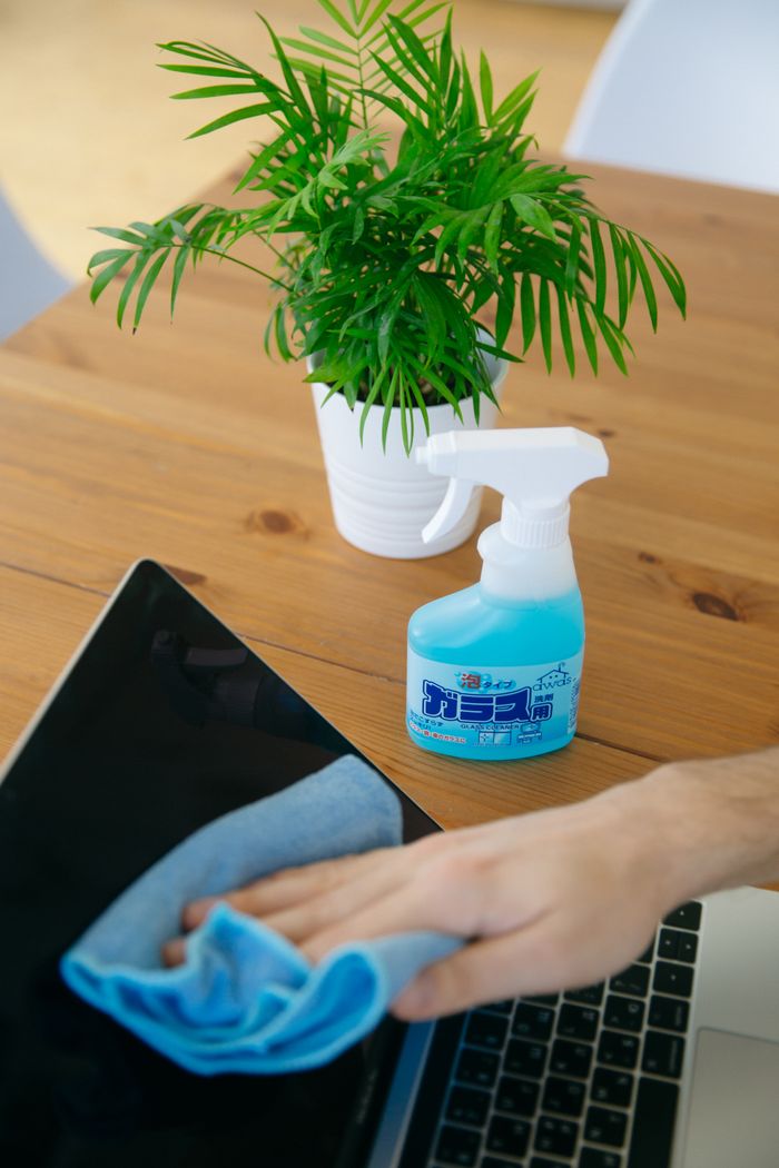services-img Close-up of a person cleaning a laptop screen with a blue cloth and spray cleaner, next to a houseplant.